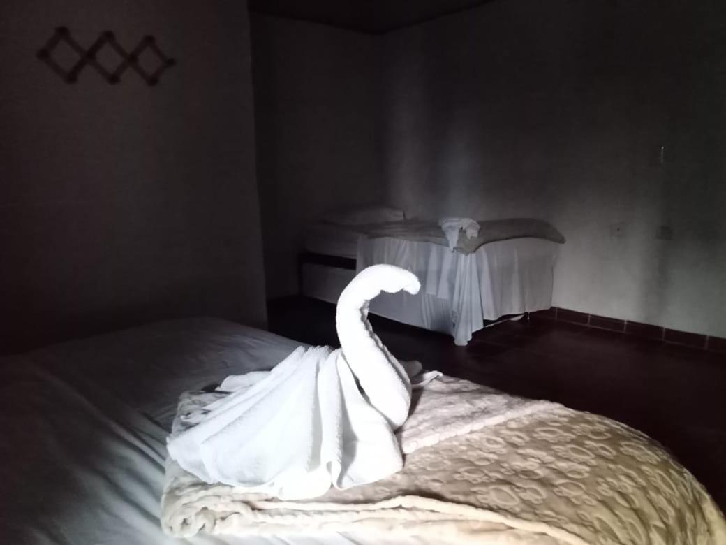Hotel Central Graciela Valle de San José Εξωτερικό φωτογραφία